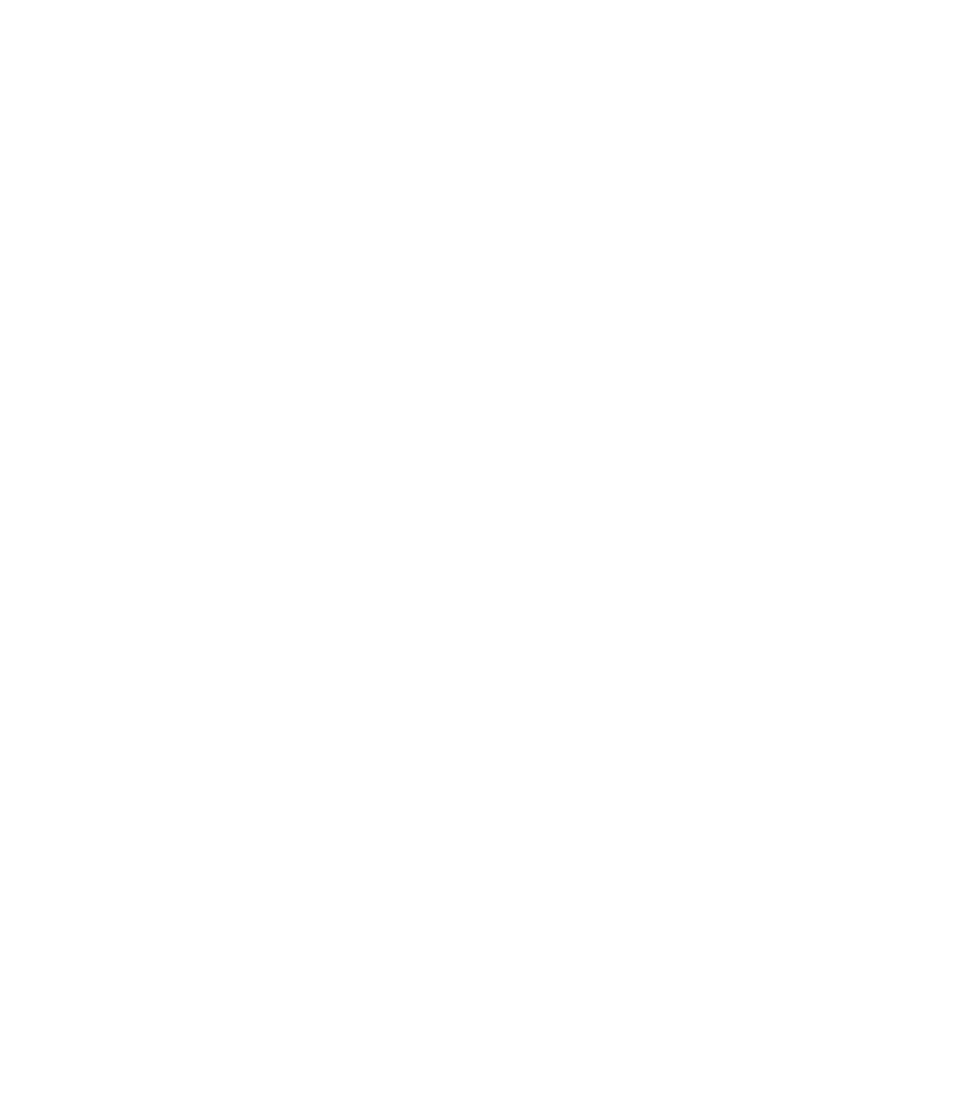 WSSArizona logo